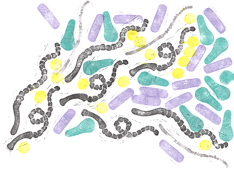 Microbiological Prints - Eliza Wolfson